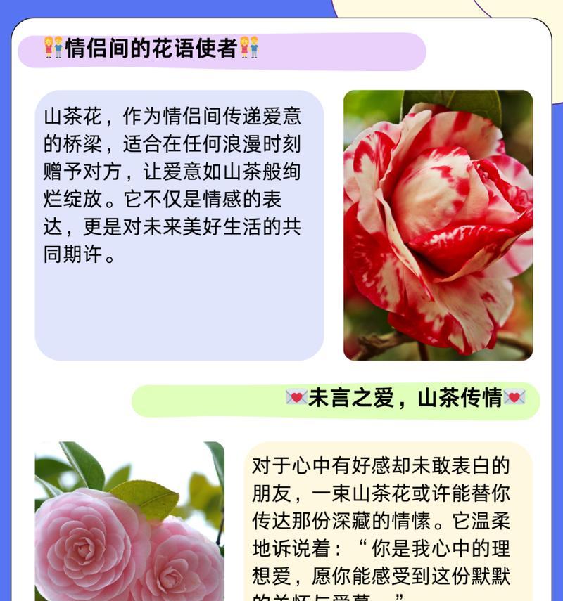 什么花是9月的花语和寓意？9月的生日花有哪些特别含义？