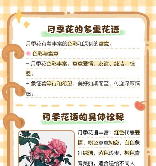 悲伤深情的花语有何寓意？