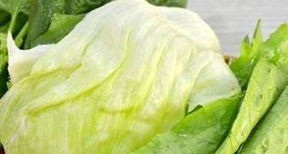 牛心菜和圆菜是同一种蔬菜吗？它们的区别是什么？