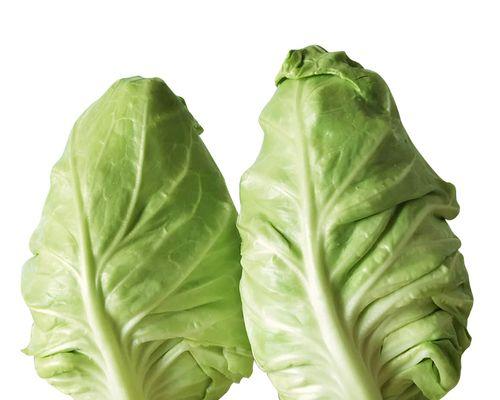 牛心菜是什么菜？牛心菜的营养价值和食用方法有哪些？