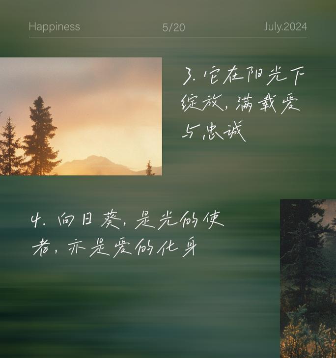 向日葵的花语有哪些？它通常用来表达什么情感？