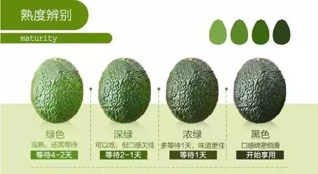 牛油果亩产量是多少？产量高吗？