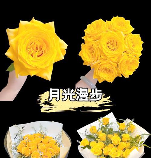 黄玫瑰代表什么花语？黄色玫瑰的含义是什么？