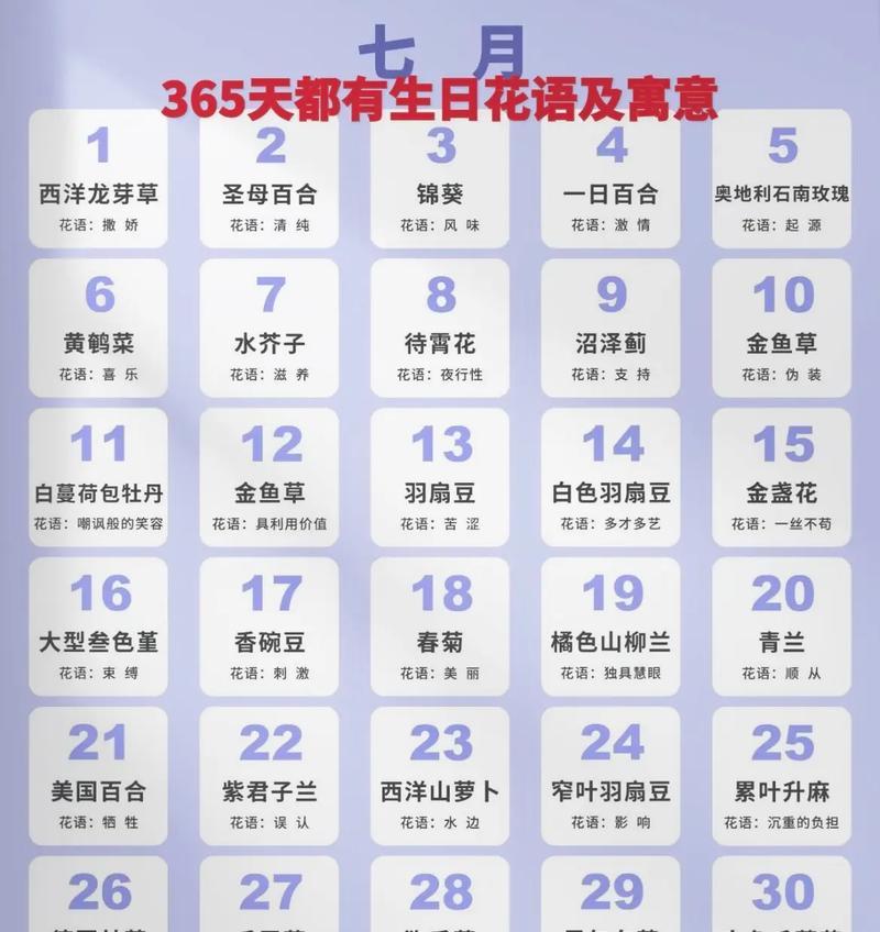 小北边牧玫瑰代表什么？花语有何寓意？