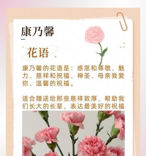 哪种花象征奉献？它的花语和寓意是什么？
