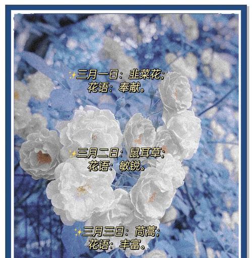 哪种花象征奉献？它的花语和寓意是什么？