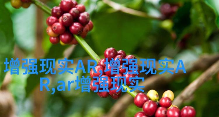 宇宙主题的花语有何寓意？