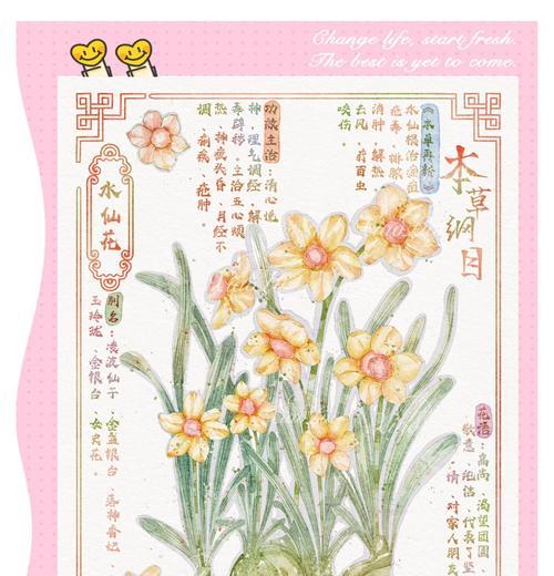 水仙花的花语有哪些含义？它象征着什么？