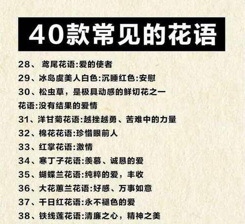 十大幸福花语是什么？这些花语如何表达幸福？
