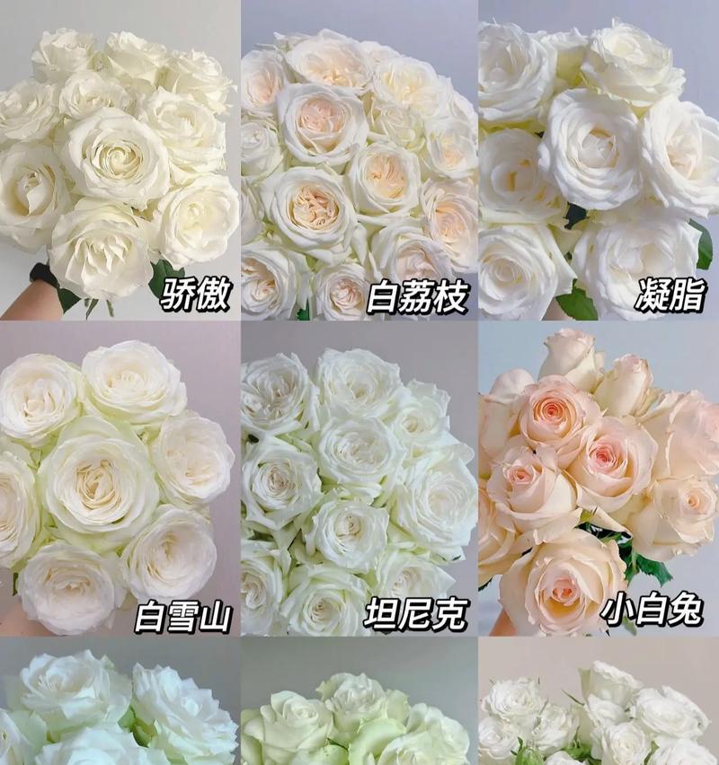 52枝白荔枝玫瑰花语是什么？为什么52枝玫瑰代表永恒？