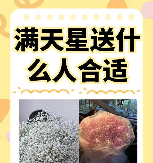 几天不见的花语是什么意思？这种花语代表了什么？