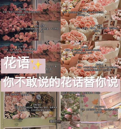 几天不见的花语是什么意思？这种花语代表了什么？