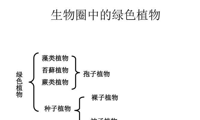 牛油果生长需要什么条件？其特点有哪些？