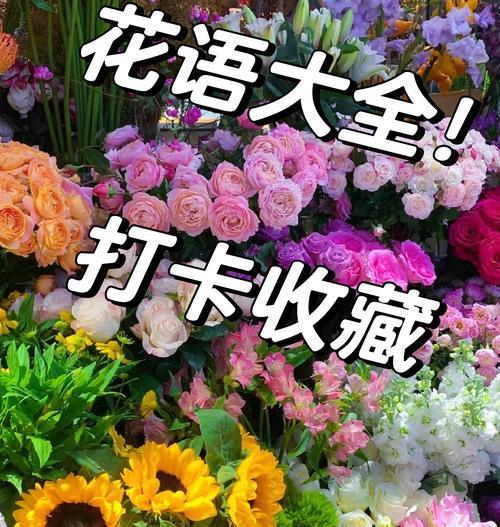 给朋友的祝贺花语是什么？祝贺朋友时应选择哪种花语？