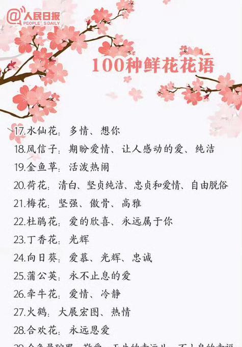 又爱你一次的花语代表什么情感？