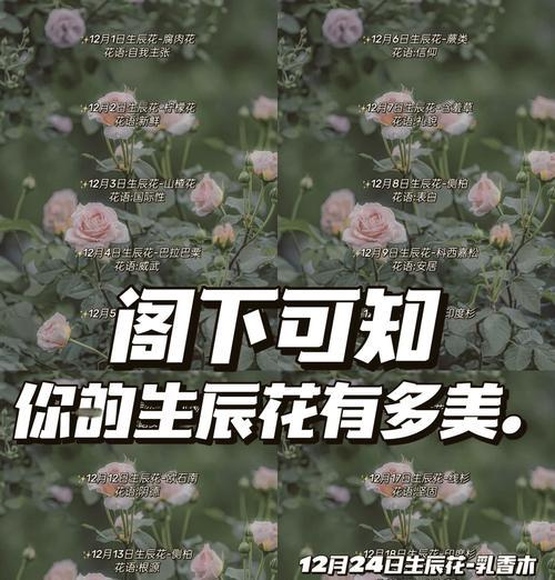 三草两木的花语代表什么？