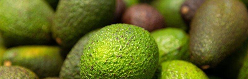 牛油果几月份上市？成熟季节是什么时候？