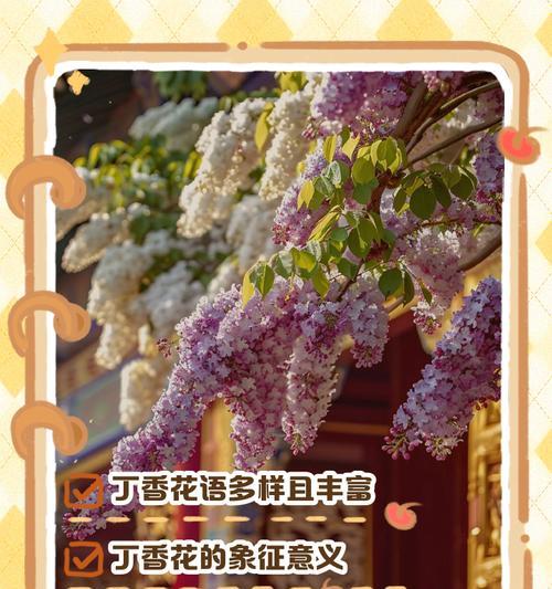 日本紫丁香的花语有何含义？日本紫丁香在花语中象征着什么？