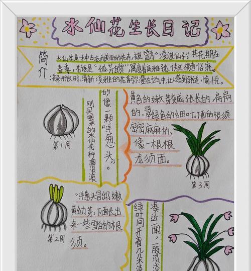 水仙花语的由来是什么意思？水仙花的含义有哪些？