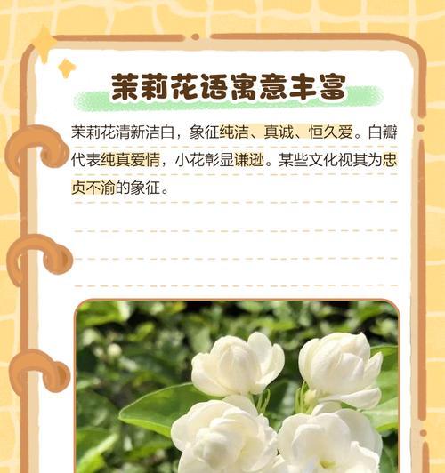 茉莉花香水的花语有何含义？