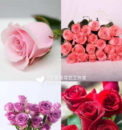 散兵新名字花语大全集是什么？这些花语都有哪些含义？