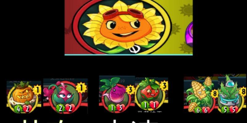 耀斑花的花语和寓意是什么？耀斑花象征着什么？