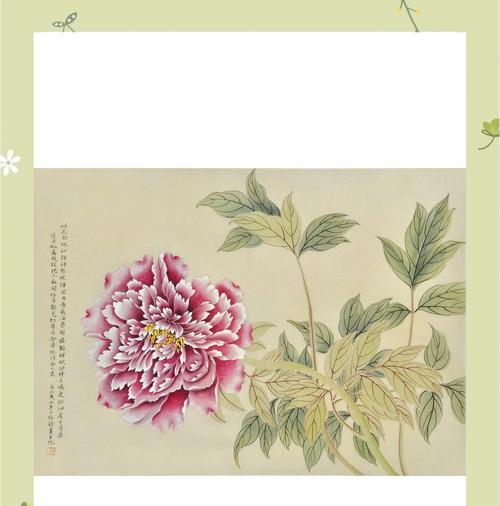 牡丹花的介绍和花语是什么？