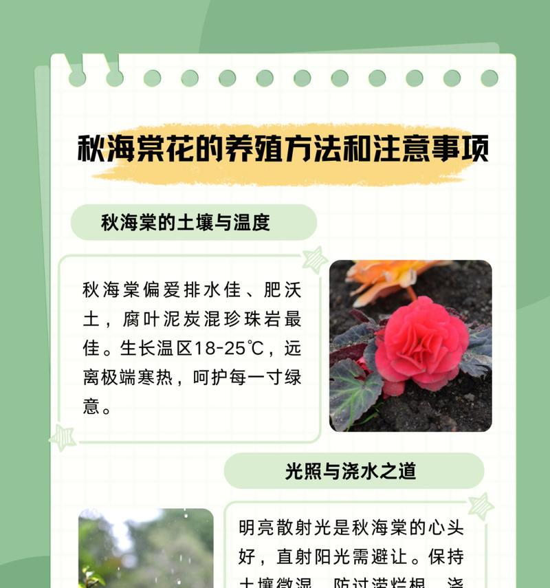 腐弄花的花语有何深意？它在花语中代表什么？