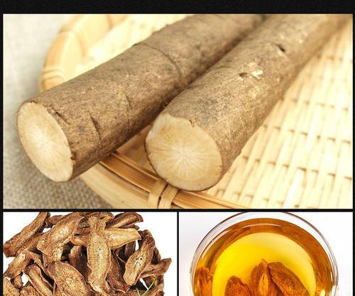牛蒡茶的原产地是哪里？产地对品质有何影响？