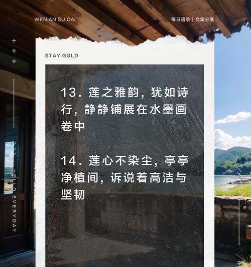 莲的花语有何寓意？莲象征着什么？