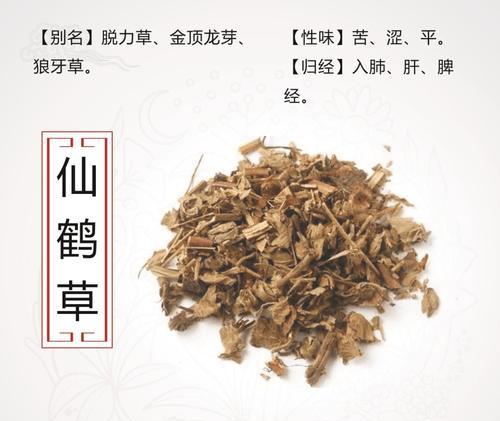 延鹤堂的花语有何特别之处？
