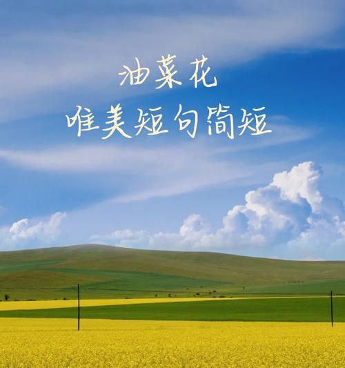 油菜花田的美丽背后有何花语？