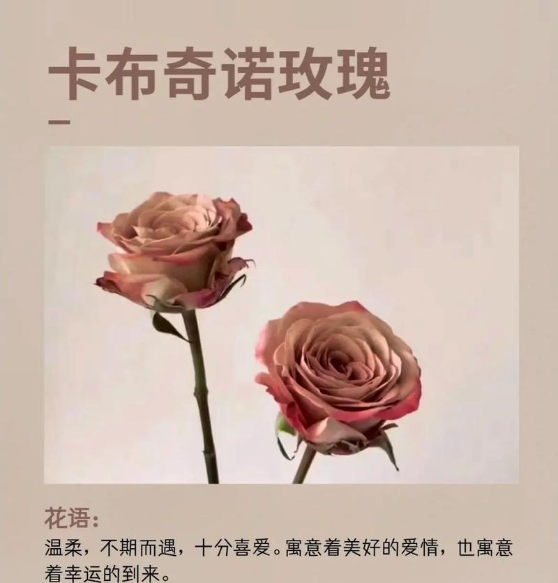 幸运之花的花语是什么？
