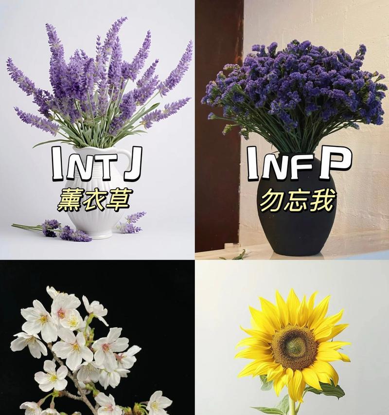 幸运之花的花语是什么？