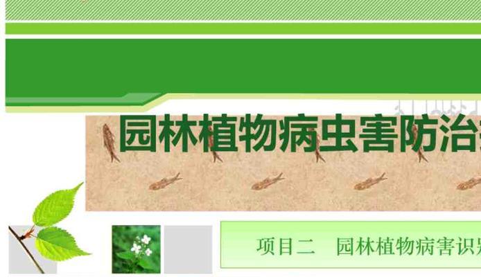 农作物病虫害防治技术与方法措施有哪些？如何有效实施？