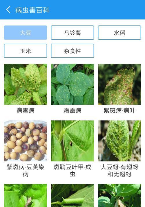 农作物病虫害防治技术与方法措施有哪些？如何有效实施？