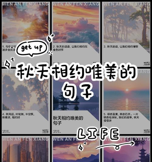 枫叶的搞笑花语有哪些？