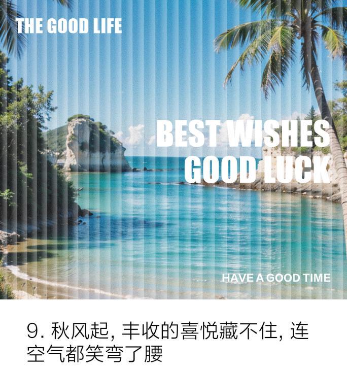 枫叶的搞笑花语有哪些？