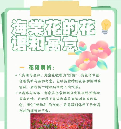 哪种花语适合表达对老师的思念？