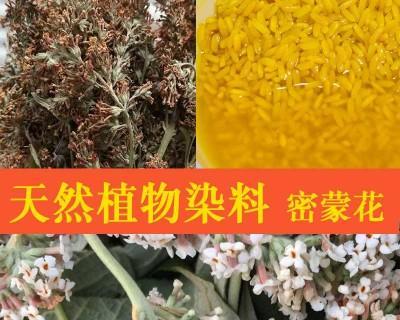糯米属于什么植物类别？它的特点和用途是什么？