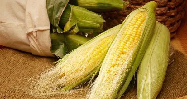 糯玉米含糖量高吗？适合糖尿病患者食用吗？