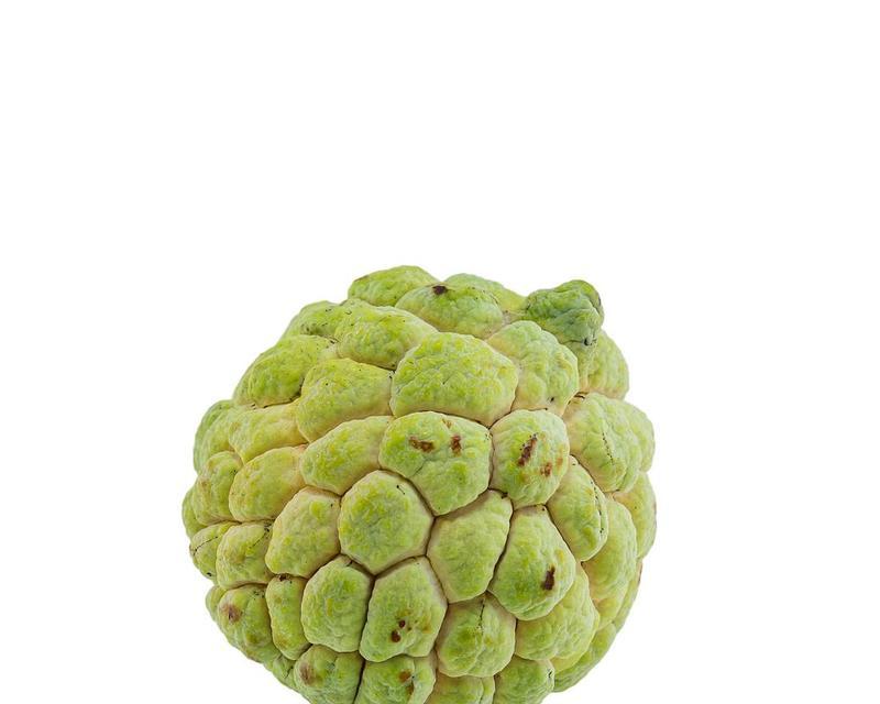 诺丽果与释迦果的相似之处与区别是什么？