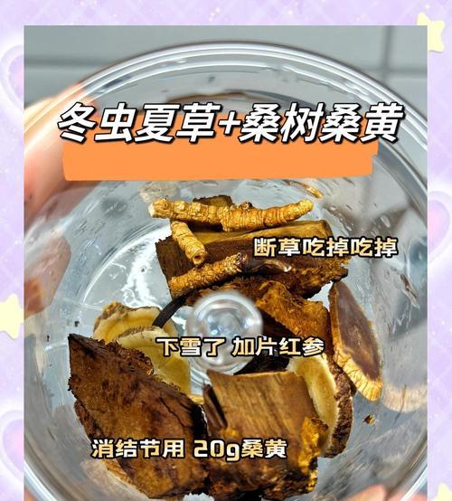 扶桑黄叶怎么办？补救攻略是什么？