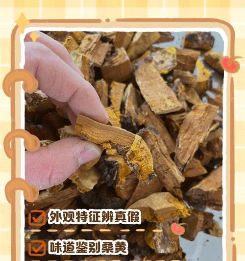 扶桑黄叶怎么办？补救攻略是什么？