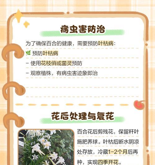 百合的种植技术和栽培管理是什么？