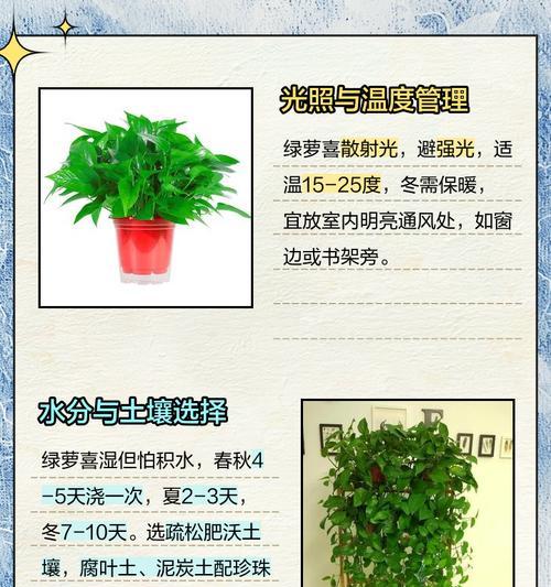 家里养绿萝有哪些利弊？如何正确养护？