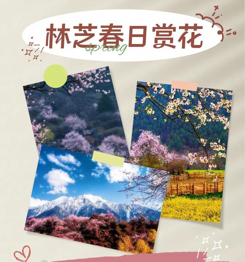 林芝桃花为何花期这么长？背后的原因是什么？