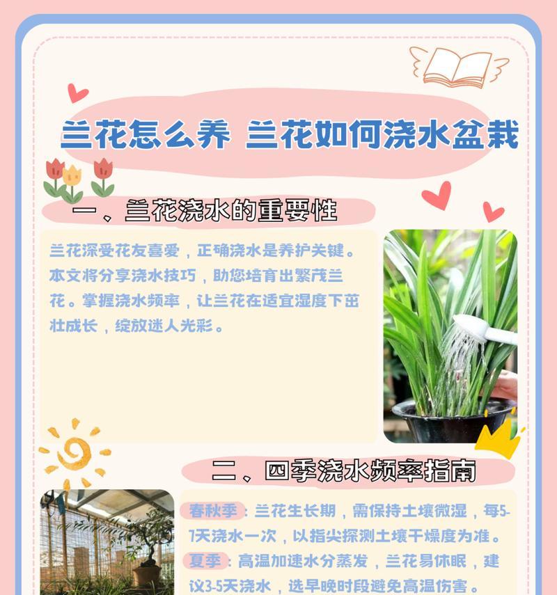 白兰花养护技巧有哪些？如何科学地养出独特魅力？
