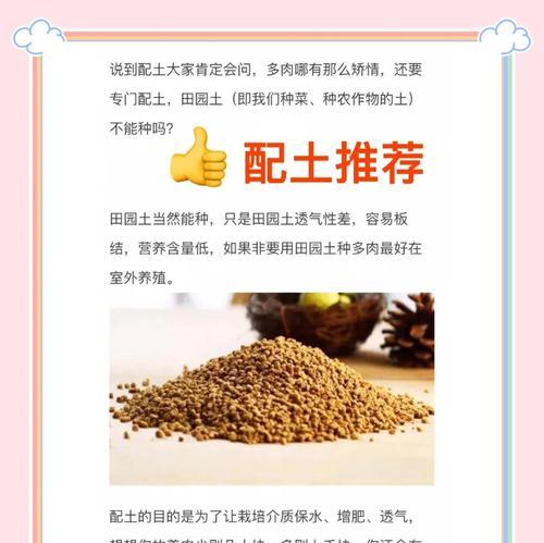 仙人掌大颗粒土种植技巧有哪些？