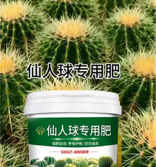 仙人球授粉后施肥的最佳时机是什么时候？